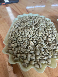 เมล็ดกาแฟโรบัสต้าสีขาว แบบเมล็ดเต็ม ขนาดเล็ก แบบคาลโรส อบแห้ง ดิบ ไม่ผ่านกระบวนการ ผลิตจากเวียดนาม อายุการเก็บรักษา 3 ปี GT7 ตงไห่ 25 กก. - Product Image 2