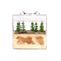 Fourmilière Moderne Transparente 3D en Acrylique avec Boutons-Pression Ant Empire – Durable, Utilisation Multi-Pièces, Écologique, Simple Face