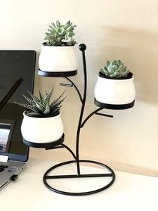 Wall Planters Round Metal Powder Coated Hanging <b>Bracket</b> <b>for</b> Garden Outdoor Use - Product Image 1