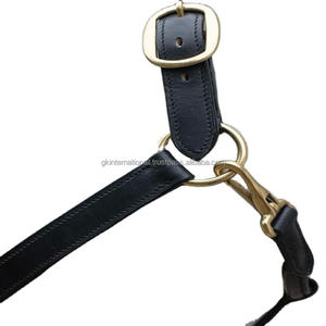 Licol en cuir de qualité supérieure pour usage quotidien avec rembourrage doux et confortable et quincaillerie en laiton réglable - Product Image 1