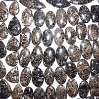 Offre Spéciale : Cabochon en Agate Turritella Naturelle, Pierre Précieuse Non Montée pour la Fabrication de Bijoux (Bague, Pendentif, Boucles d'Oreilles) – En Vente