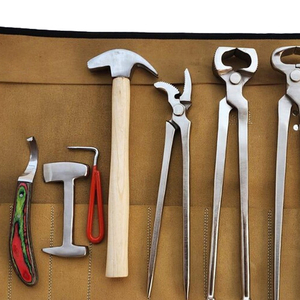 Kit de Herramientas para el Cuidado de Pezuñas de Caballos con Cuchilla y Pinza de Acero Inoxidable, Certificado CE - Product Image 3