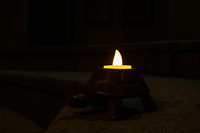Ces porte-bougies sont soigneusement sculptés en forme de tortue, offrant une stabilité et des finitions naturelles telles que le vert, le brun rougeâtre et le bronze.