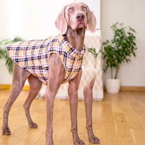 Chaleco Premium para Perros, Ropa Cómoda de Felpa para Perros Pequeños y Grandes - Product Image 1