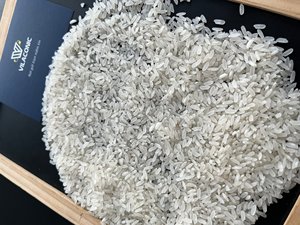 Nuevo Arroz Blanco Calrose Jasmine de Grano Mediano de Vietnam, Cosecha 2026, Alta Calidad, Seco, 5% de Grano Partido, a Buen Precio para Uso Alimentario - Product Image 2
