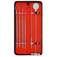 Kit de 6 sondes orthopédiques équin, instruments vétérinaires, outils en acier inoxydable allemand à long manche, haute qualité