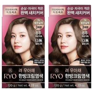 120G*2ea Ryo Uachae Stylish Gray Fish Cream สีน้ำตาลอ่อน 7N โฟมเปลี่ยนสีผมชั่วคราว รุ่น 8809925188624 - Product Image 1