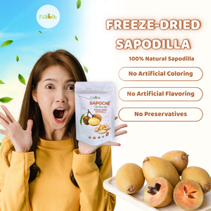 Proveedor de exportación B2B, rebanadas de fruta Chikoo de Sapodilla liofilizada, sabor dulce, cultivo común, envasado al vacío, envasado a granel - Product Image 5