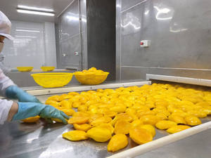 Half Frozen Mango Slices IQF Vietnam Processed for Frozen Mango Slices - Product Image 3