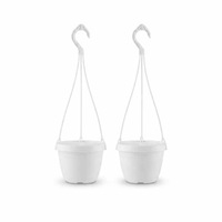 Petit pot suspendu pour plantes succulentes, en plastique PP blanc, avec support pour Echeveria, Sedum et Haworthia, directement de l'usine
