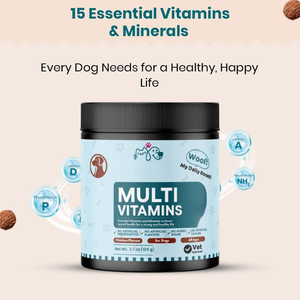 Friandises à mâcher multivitaminées pour chiens et chats, soutien de la peau et du pelage, fourrure saine, riches en oméga, bienfaits quotidiens, complément alimentaire naturel pour animaux de compagnie - Product Image 2