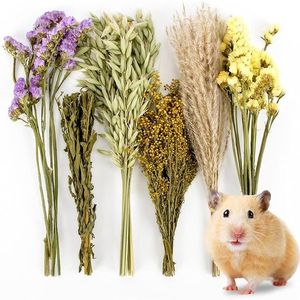 42 pièces de literie en herbes et fleurs naturelles pour la décoration d'habitats de hamsters et les lits pour animaux de compagnie - Product Image 3