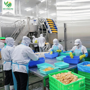 Mango en cubos congelado IQF – Calidad premium de Vietnam - Product Image 2