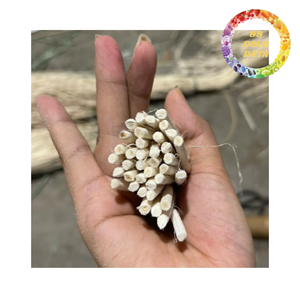 แกนหวายธรรมชาติแบบยืดหยุ่นสำหรับงานสานเฟอร์นิเจอร์และงานฝีมือตกแต่ง ขายส่งจำนวนมาก - Product Image 2