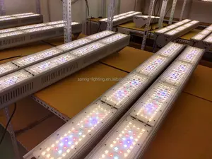 OEM ODM Greenhouse LED Grow Light IP65 Waterproof Indoor Plant Lamp 400W 500W 600W