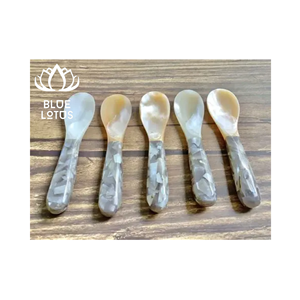 Cuillère en nacre écologique et sûre, modèle 2026, ustensile en coquille pure, idéale pour servir les œufs et le caviar – Vendeur direct – Meilleures ventes - Product Image 1