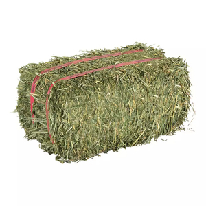 Heno de alfalfa curado al sol, rico en proteínas y fibra, ideal para alimentar animales de granja. - Product Image 4
