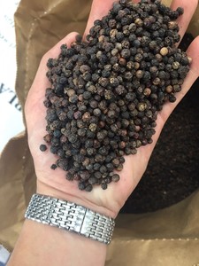Proveedor de pimienta negra Premium de Vietnam Precio caliente a granel Precio directo 550G/L 570G/L LINDA WS + 84393250278 - Product Image 4