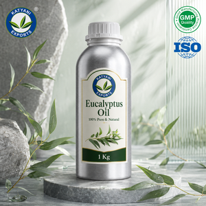 Global B2B Bulk Exporter Eucalyptus (Eucalyptus Globulus) <b>Essential</b> <b>Oil</b> Wholesale - For Aromatherapy & Fragrance Blends - India - Product Image 1