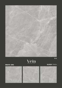 Carreaux de porcelaine carrés 600x600 mm, conçus pour des plans de sol épurés, une espacement contrôlé, une résistance fiable et une esthétique cohérente. - Product Image 4