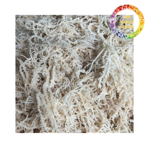 สาหร่ายคอตตอนนีสีเหลืองจากเวียดนามขายส่ง |   ตากแดดแล้วปรุงรสในถุง |   พร้อมใช้งานทุกวัน - Product Image 6