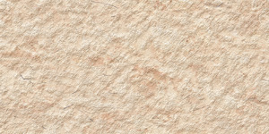 Carreaux muraux Premium Choice de qualité supérieure, carreaux d'élévation Asia Tiles 300x600mm pour grandes villas de luxe. - Product Image 3