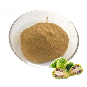 Poudre d'extrait de Noni soluble dans l'eau en vrac 10:1, qualité alimentaire, extrait naturel de fruit de Morinda Citrifolia pour boissons et smoothies - Product Image 2
