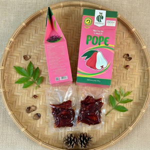 Vente en gros de pruneaux secs POPE, emballage haut de gamme, service OEM en provenance du Vietnam - Product Image 4