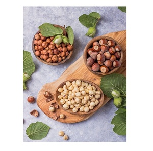 Nueces de avellana crudas en oferta / Nueces de avellana orgánicas de primera calidad / Nueces de avellana a la venta - Product Image 5