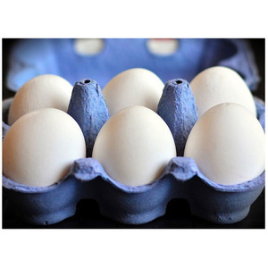 ไข่ไก่ขาวออร์แกนิกสดใหม่ ราคาขายส่งที่แข่งขันได้ ไข่ไก่สดจากฟาร์ม - Product Image 2
