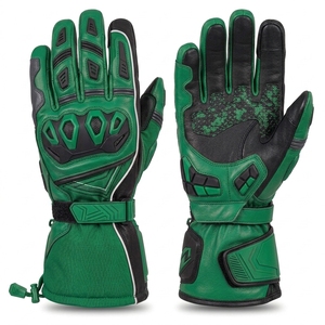 Guantes de invierno para motocicleta personalizados, hechos con materiales aislantes, paneles duraderos y diseño ergonómico para mayor comodidad en carreteras frías. - Product Image 1