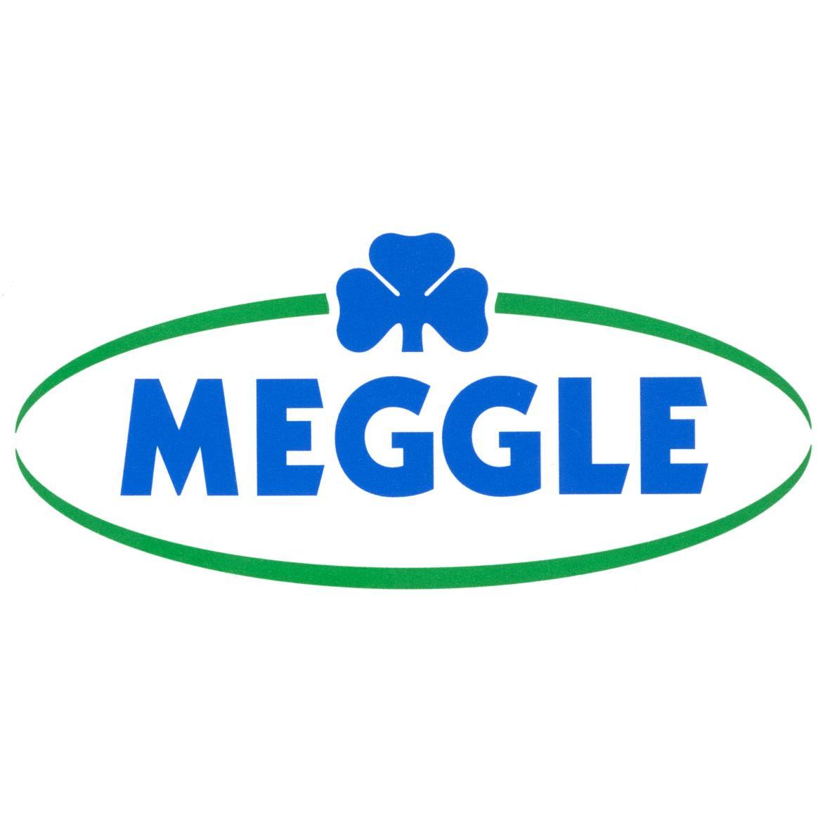 MEGGLE GmbH & Co. KG logo