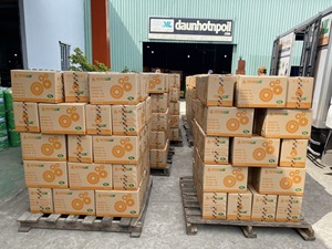 PETROLUB Líquido de frenos DOT 3 Botella 0.5L 830ml Vietnam Lubricante Aceite base y aditivos premium Alta Calidad - Product Image 5