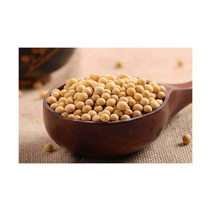 Professional grade soy peptide powders wholesale bulk supply high purity export ready - Product Image 2