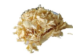 Granulés de bois de pin vietnamien premium 15 mm, fabriqués à partir de copeaux de bois super doux, idéaux pour la litière animale - Product Image 6