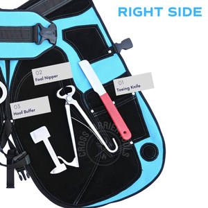 Kit complet de fermeur avec testeur de sabots à une main, cisaille à sabots, couteau à sabots, polisseur, cisaille à sabots pour poulains et tablier de protection réglable - Product Image 4