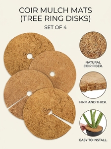 Cubos de Fibra de Coco Orgánicos, Ecológicos y de Aspecto Natural para Cultivo, 1 Hoja de Cubos de Germinación Oasis, Cultivo sin Tierra, Cubos de Fibra de Coco para Jardín, Color Marrón - Product Image 5