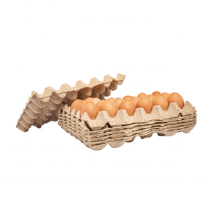 Egg Tray Paper With Paper Pulp Eco-Recycle Degradable Competitive Price Egg <b>Box</b> Packaging Made by Vina Green Pack - Product Image 4