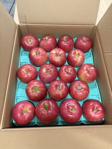 เกรดเยี่ยม คุณภาพเยี่ยม กลิ่นหอมแบบญี่ปุ่น รสชาติเข้มข้น หลากหลายสายพันธุ์ แอปเปิ้ลสด สีแดง สีเขียว สีเหลือง - Product Image 4