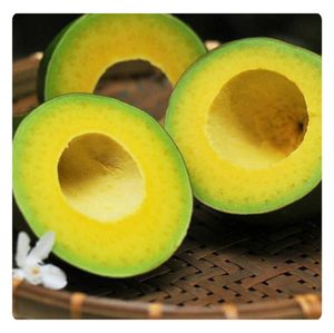 AVOCAT CONGELÉ FRAÎCHEMENT PRÉPARÉ DU VIETNAM, RICHE EN NUTRIMENTS, ALIMENT SAIN - Product Image 2