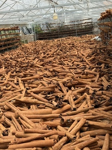 อบเชยแท่งเวียดนามคัดสรรอย่างพิถีพิถันเพื่อการส่งออกระหว่างประเทศ - Product Image 2