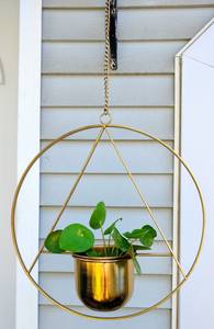 Pot de fleurs mural circulaire en métal doré, support pour plantes suspendues, décoration intérieure et jardin, style moderne, vente en gros OEM, achat en gros - Product Image 4