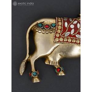 5 pulgadas pequeño par de vaca Kamadhenu en latón elegante decoración de pared y tapices para decoración del hogar y regalos hechos en la India - Product Image 3