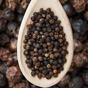 Pimienta negra en polvo 550GL de alta calidad, especias naturales ideales para cordero, carne de res, carne a la parrilla, hot pot y barbacoa. - Product Image 1