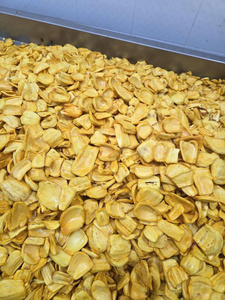 Chips de Jackfruit Tropique Biologiques Croustillantes et Sucrées, Tranchées et Emballées Sous Vide, Snack de Fruits - Product Image 2
