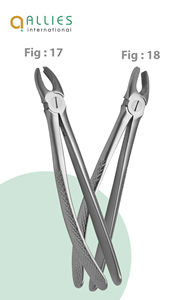 Forceps d'extraction dentaire 2026 de fabrication pakistanaise, modèle anglais, en acier, équipement dentaire, forceps d'extraction dentaire - Product Image 6
