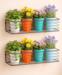 Étagère murale moderne en métal pour plantes, support mural en métal avec revêtement en poudre, étagère suspendue pour fleurs et plantes vertes, design minimaliste - Product Image 5