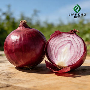 Oignons frais jaunes rouges Fournisseur Sacs de légumes 50 kg Vente en gros Meilleur prix <span class=keywords><strong>Échalote</strong></span> jaune Oignons frais - Product Image 3