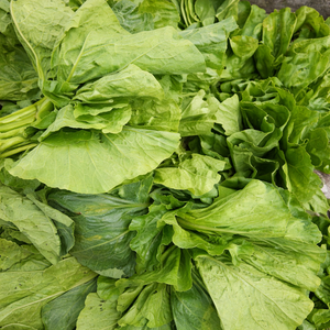 Hojas de Calabaza Congeladas Naturales Puras, Vegetal Verde a Base de Plantas, Alimento de Etiqueta Limpia para Exportación/ Sra. Alina - Product Image 6