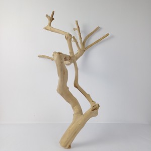 Artículos Populares 2026: Soporte de Madera Natural de Java para Loros y Pájaros, Percha de Juego de Madera para Loros y Pájaros, Hecho en Vietnam, Venta al por Mayor - Product Image 5